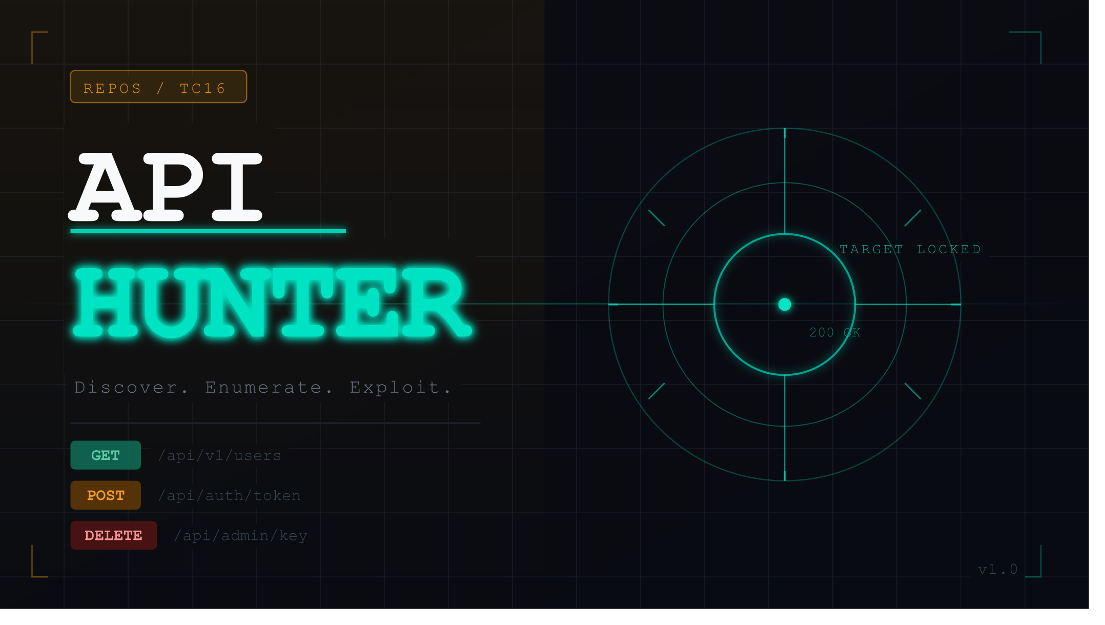 ApiHunter Demo Video