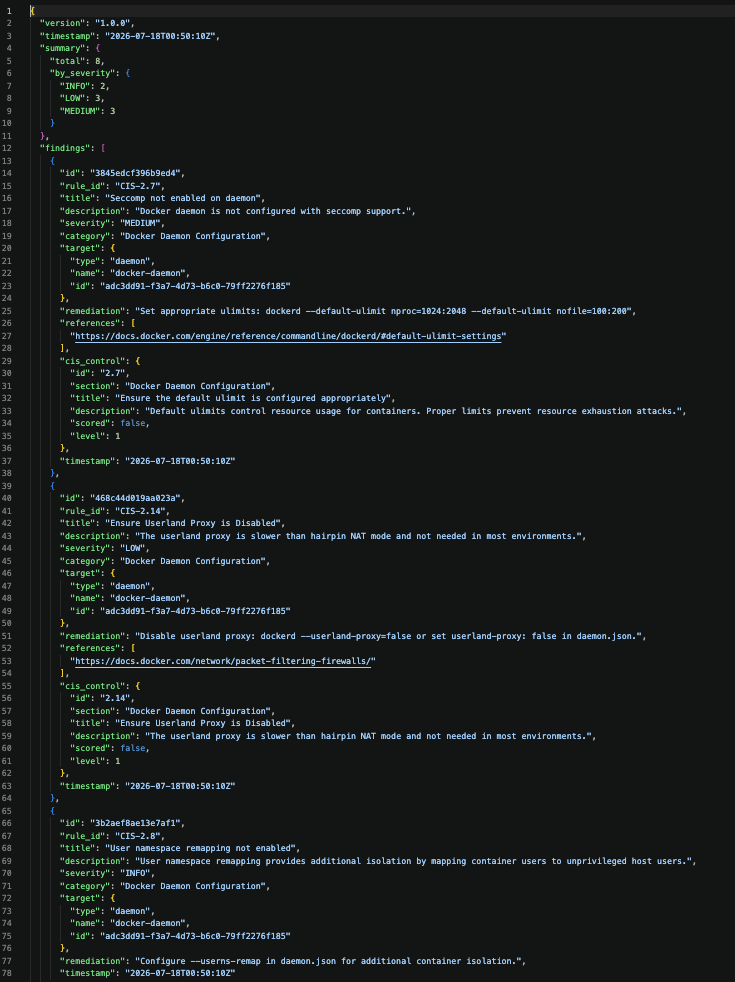 DockSec JSON report