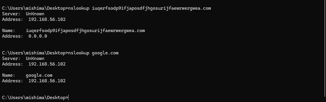Run B nslookup