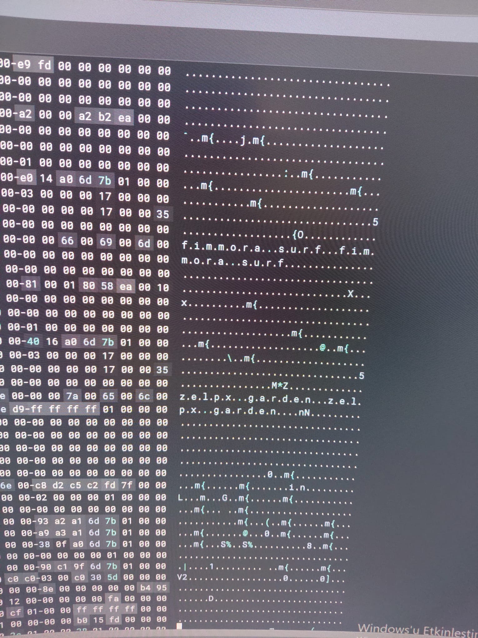 Remus Stealer Memory Dump - C2 Extraction