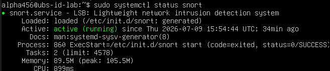 Snort IDS 状态