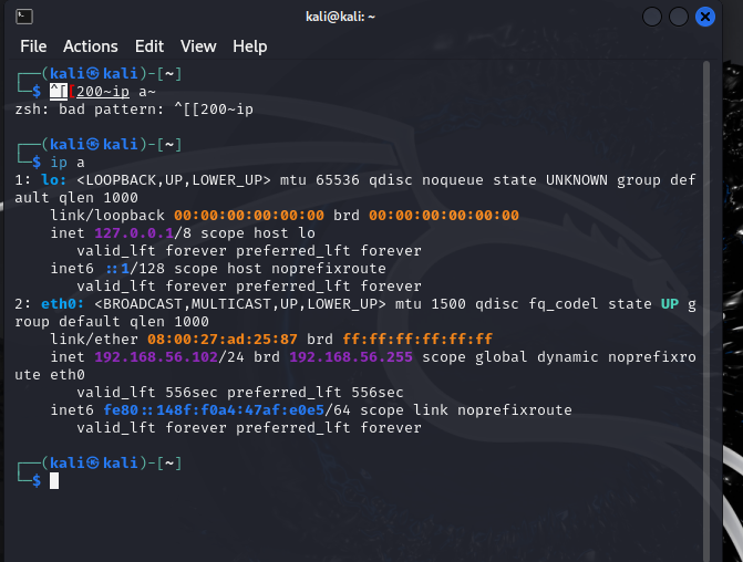Kali IP