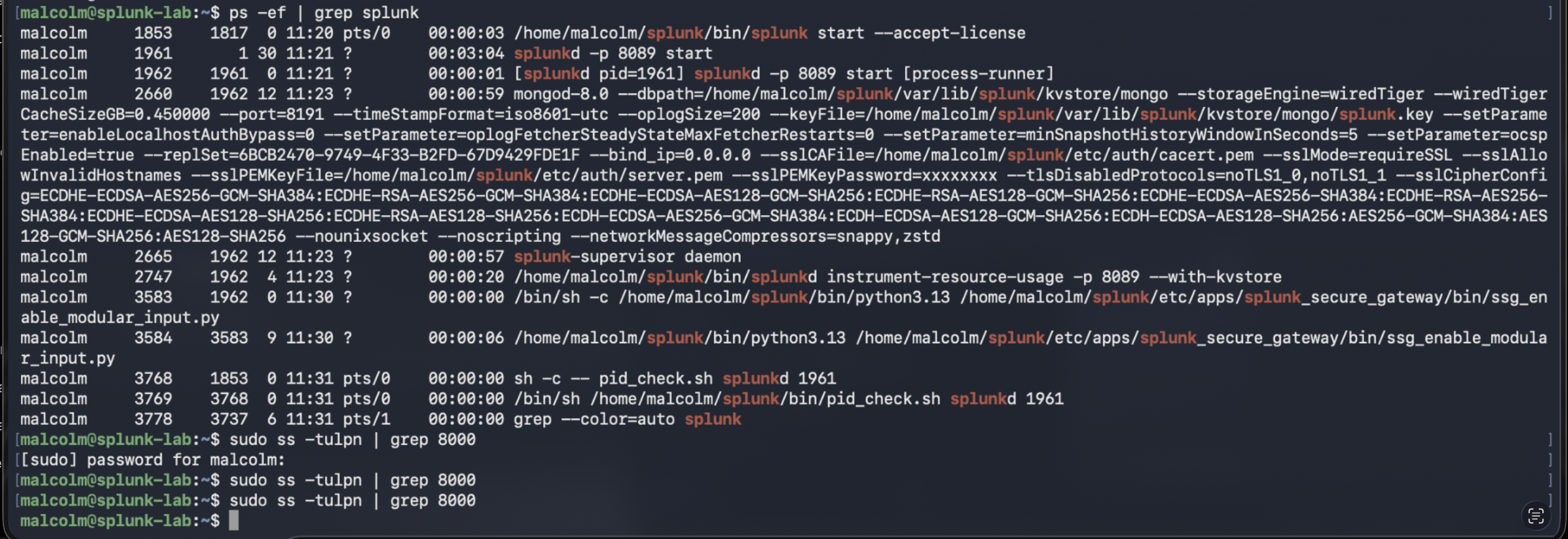 SSH Connection