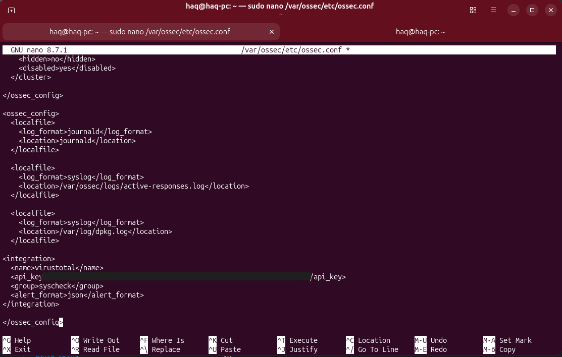 virus total setup