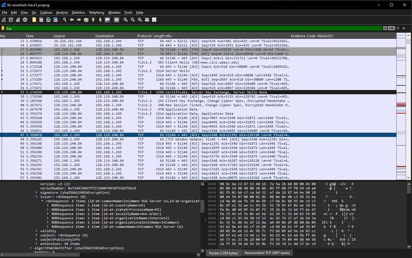 TLS Server Certificate Analysis