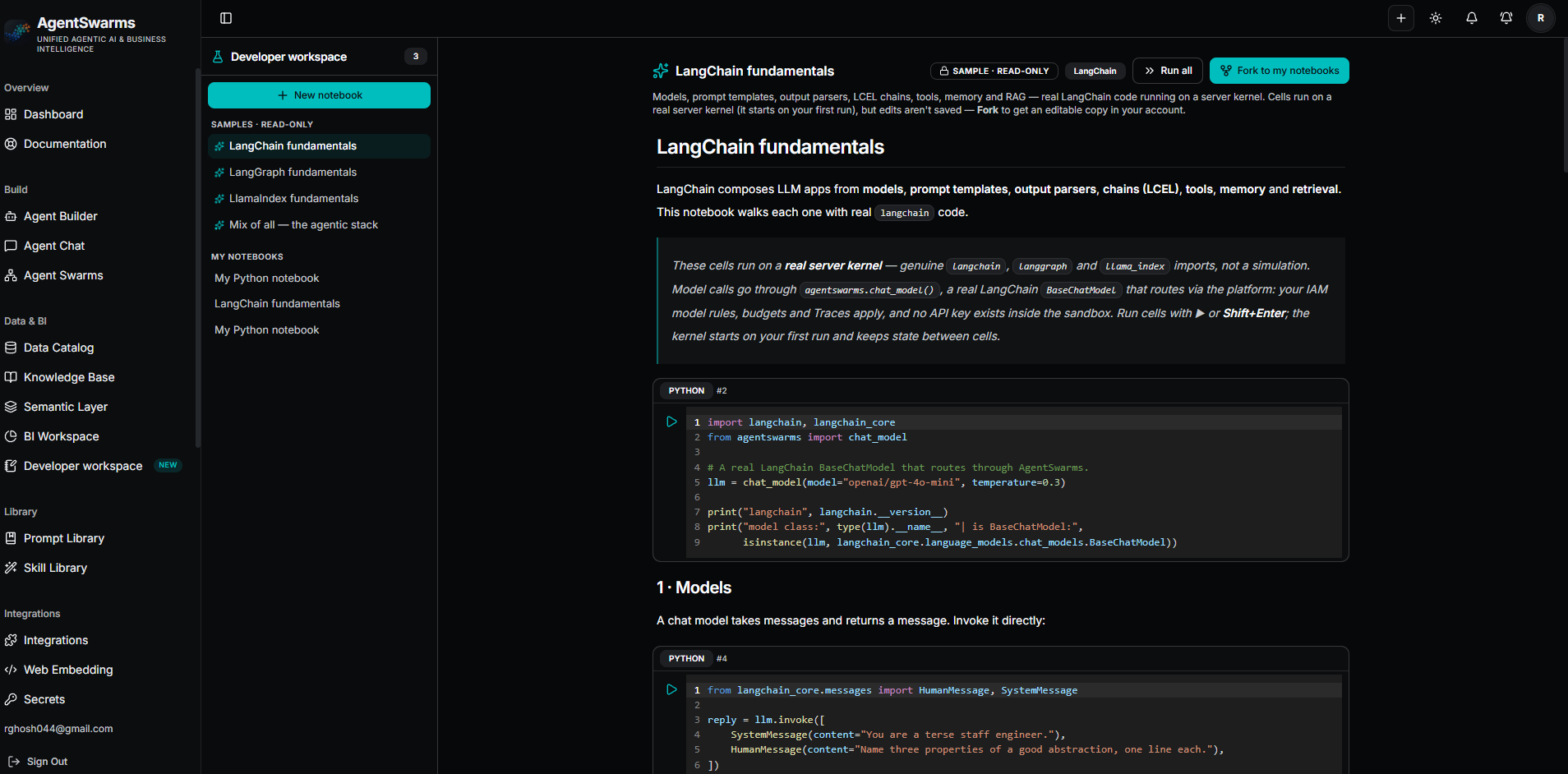 开发者工作区展示了只读的“LangChain 基础”示例 notebook,其中包含可运行的 Python 单元格