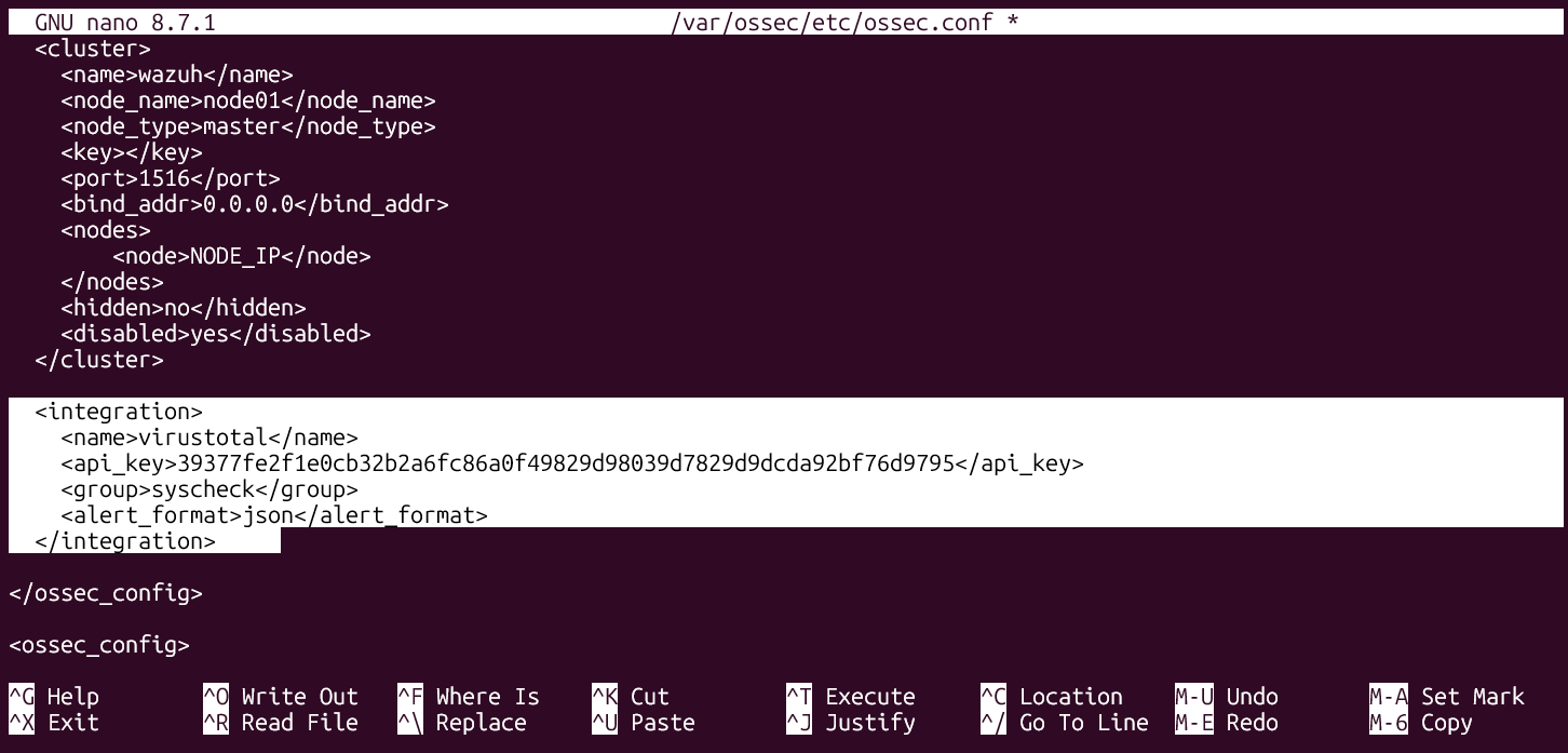 VirusTotal API Key Interface