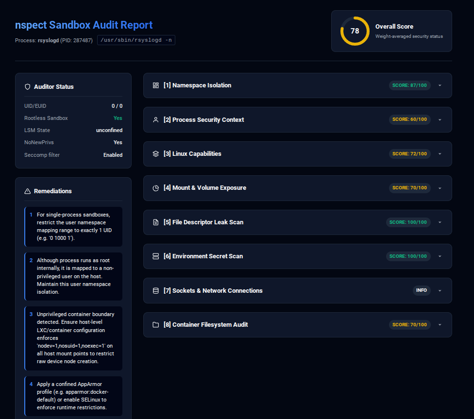 nspect HTML Audit Dashboard Example