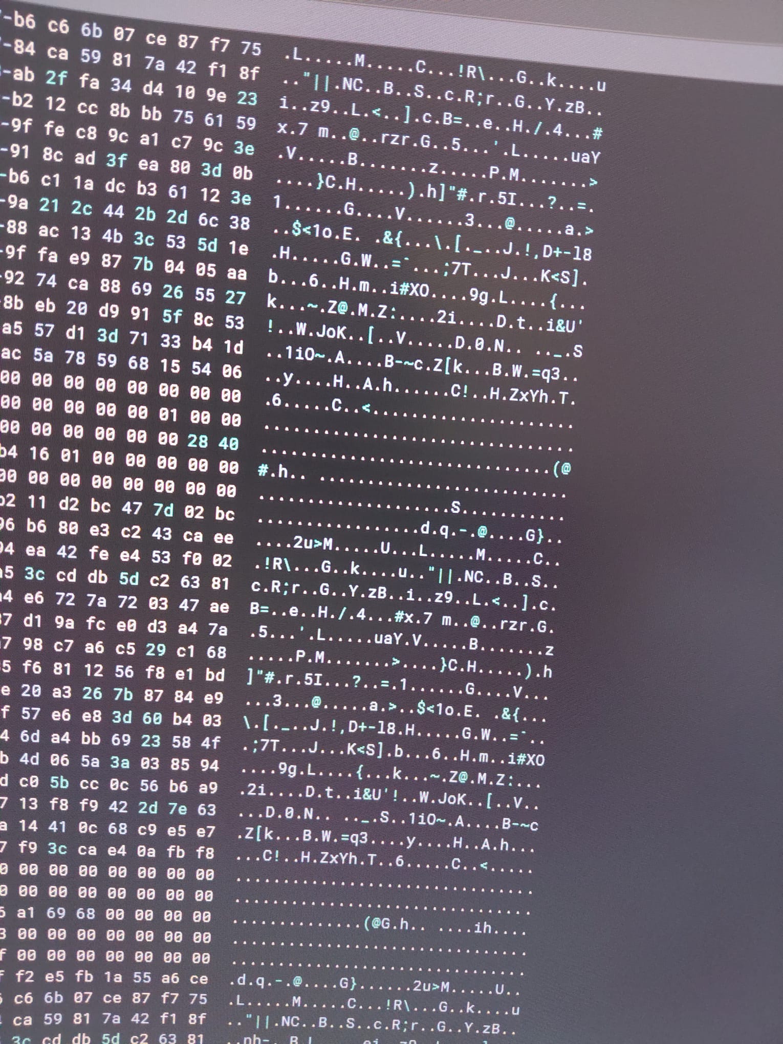Svchost 混淆的 Payload
