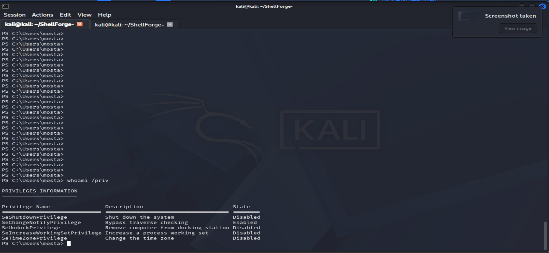 Reverse shell 会话