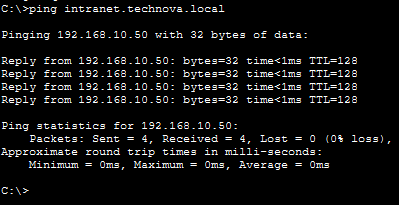 成功的 DNS 解析