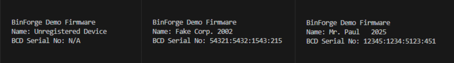 BinForge_Demo