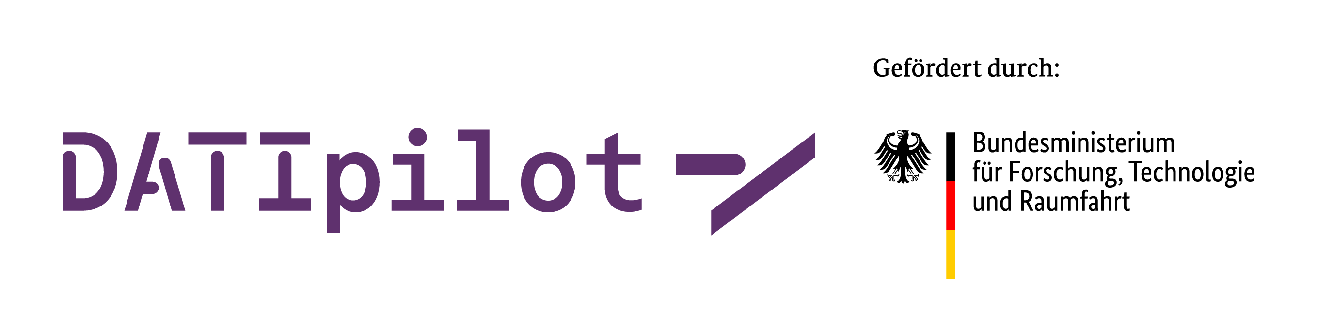 DATIpilot Logo