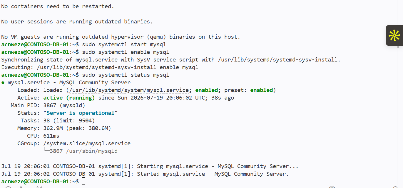 MySQL 运行中