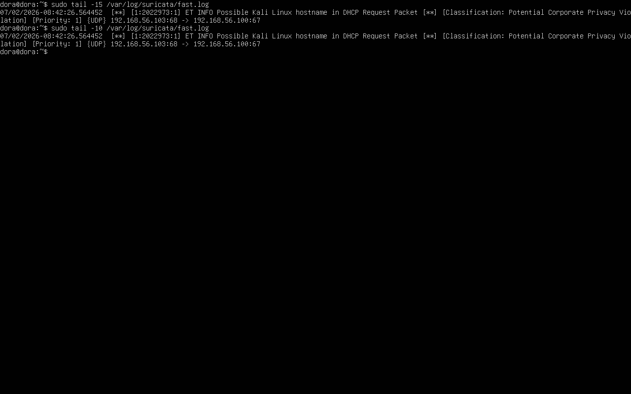 Suricata results