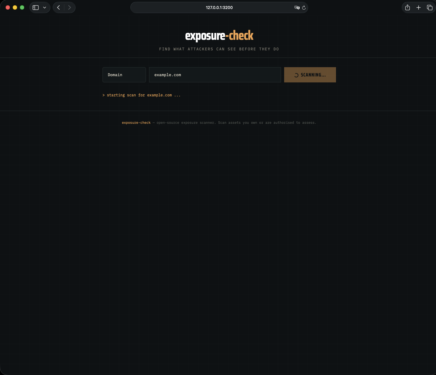 Dashboard — scanning in progress