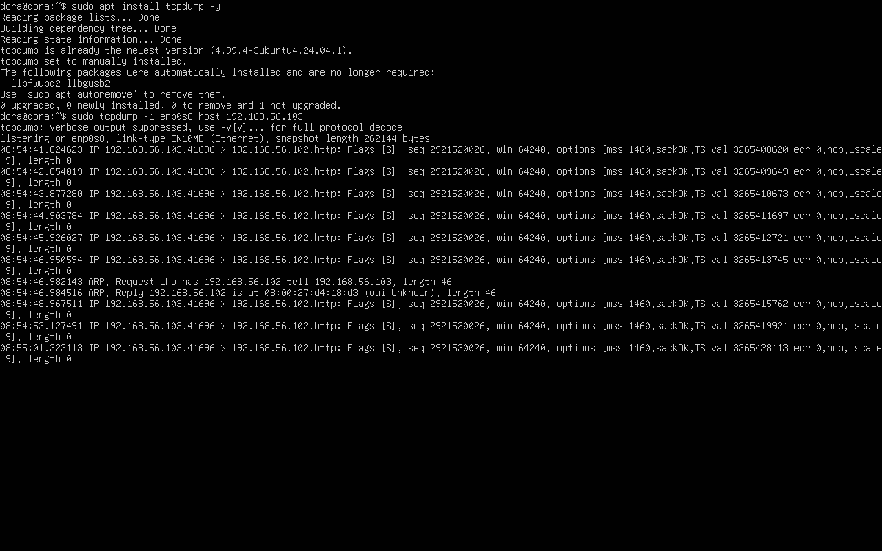 tcpdump results
