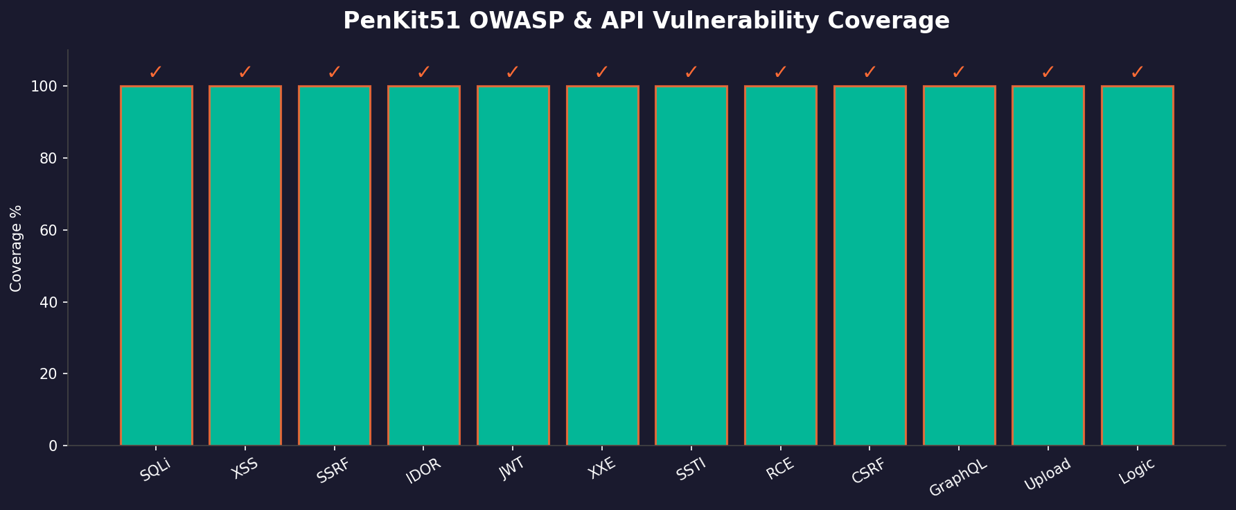 PenKit51 OWASP and API vulnerability coverage