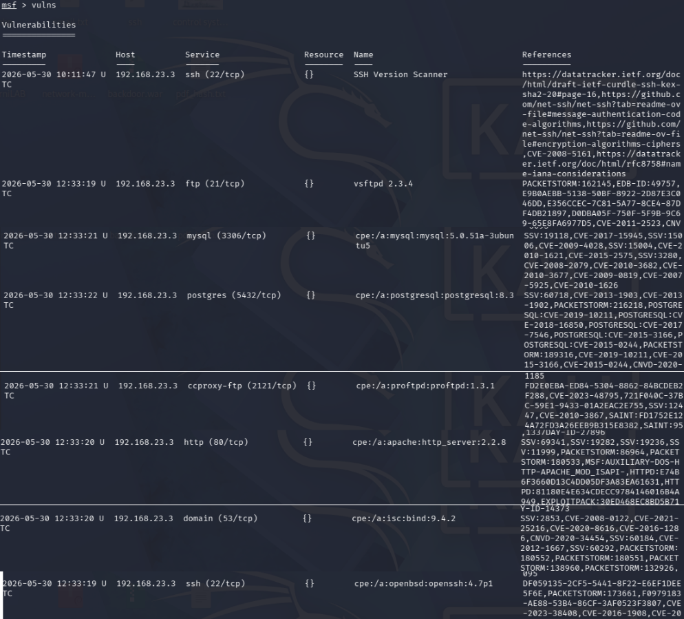 Metasploit 辅助扫描结果