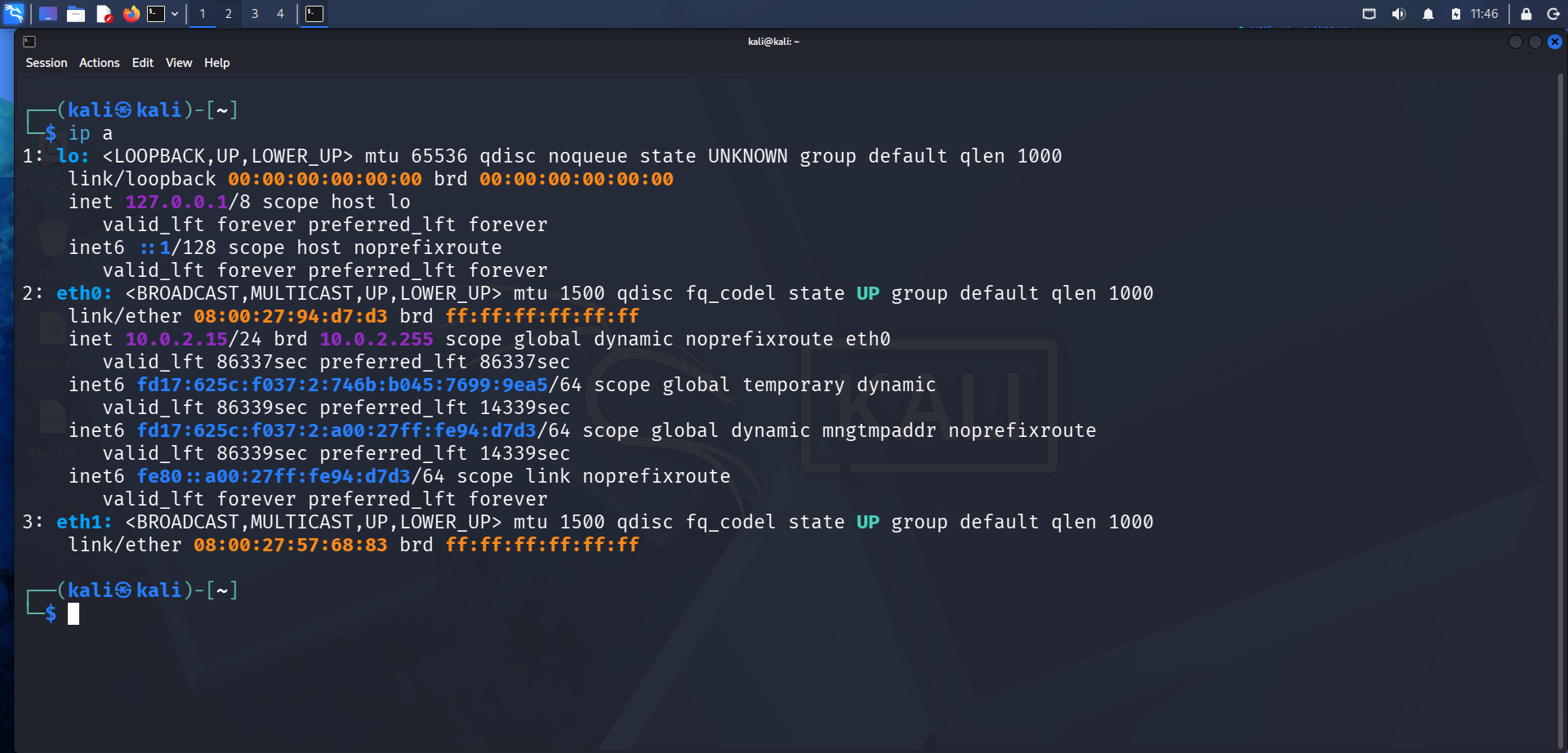 Kali IP