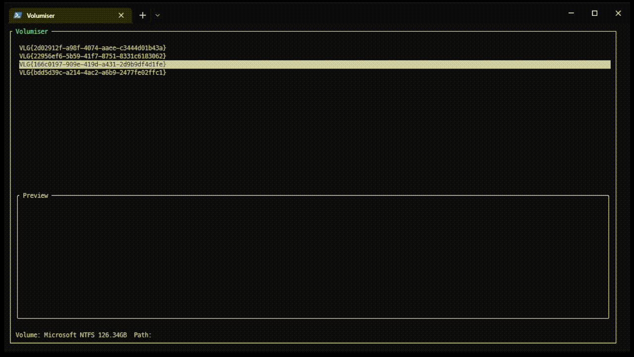 Volumiser 交互式 GUI