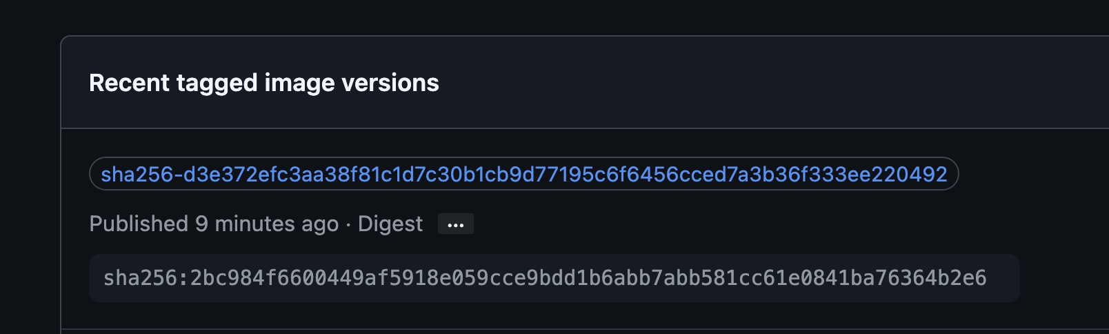 Recent Tagged Image Versions