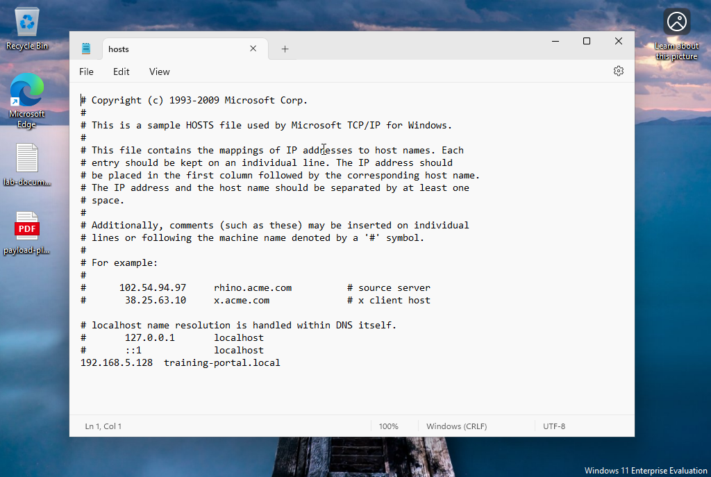 03_hosts_file_spoofing