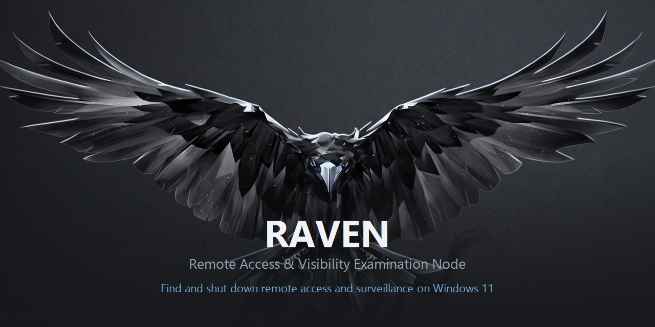 RAVEN — Remote Access & Visibility Examination Node