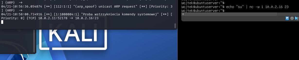 Shellcode/命令注入尝试触发警报