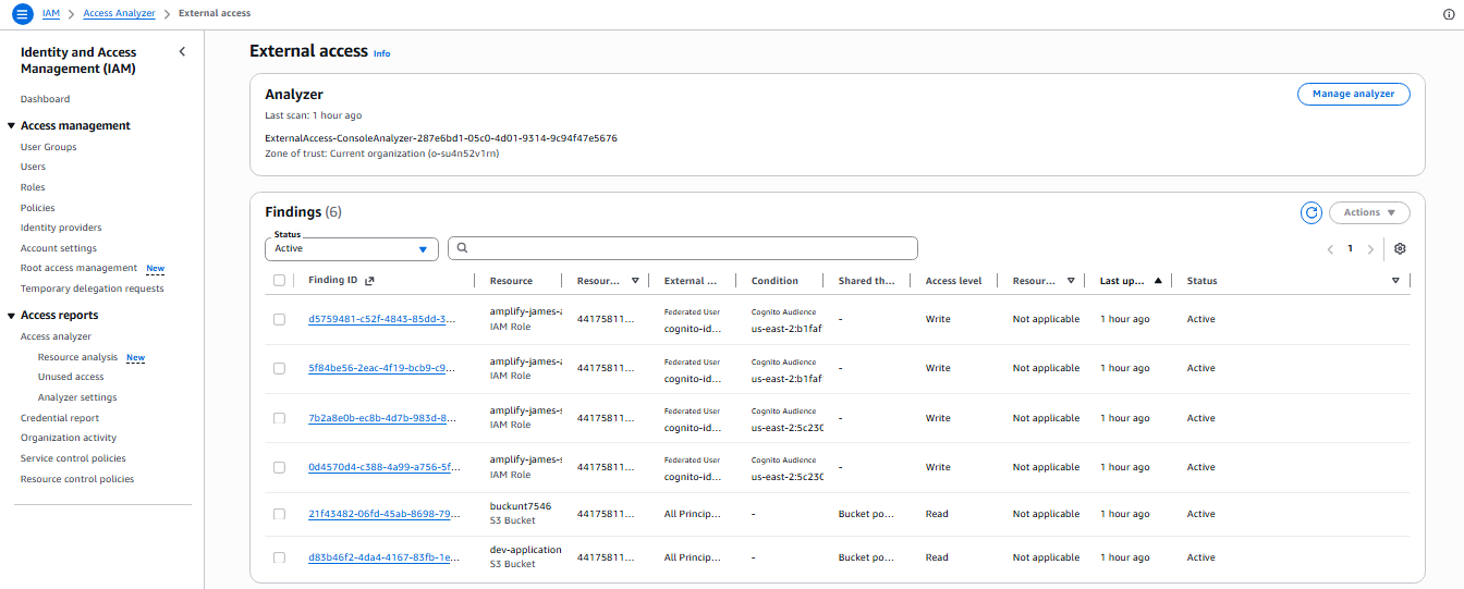 Access Analyzer Findings