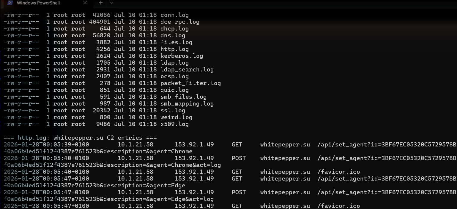 tcpdump 和 Zeek 终端运行记录