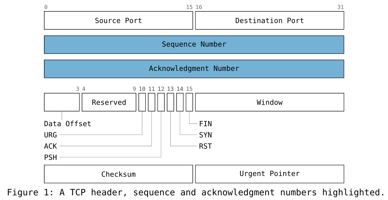 packet: a TCP header, narrow flags as leader callouts