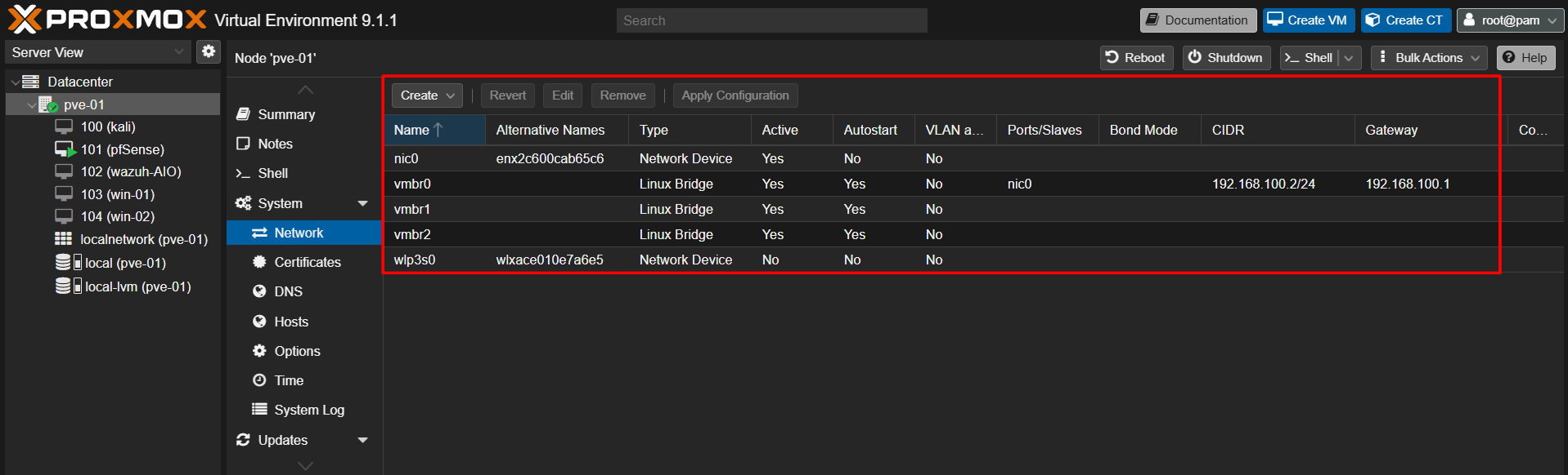 Proxmox Host Virtual Bridges
