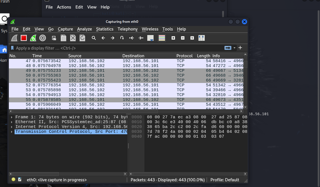 Wireshark 完整视图