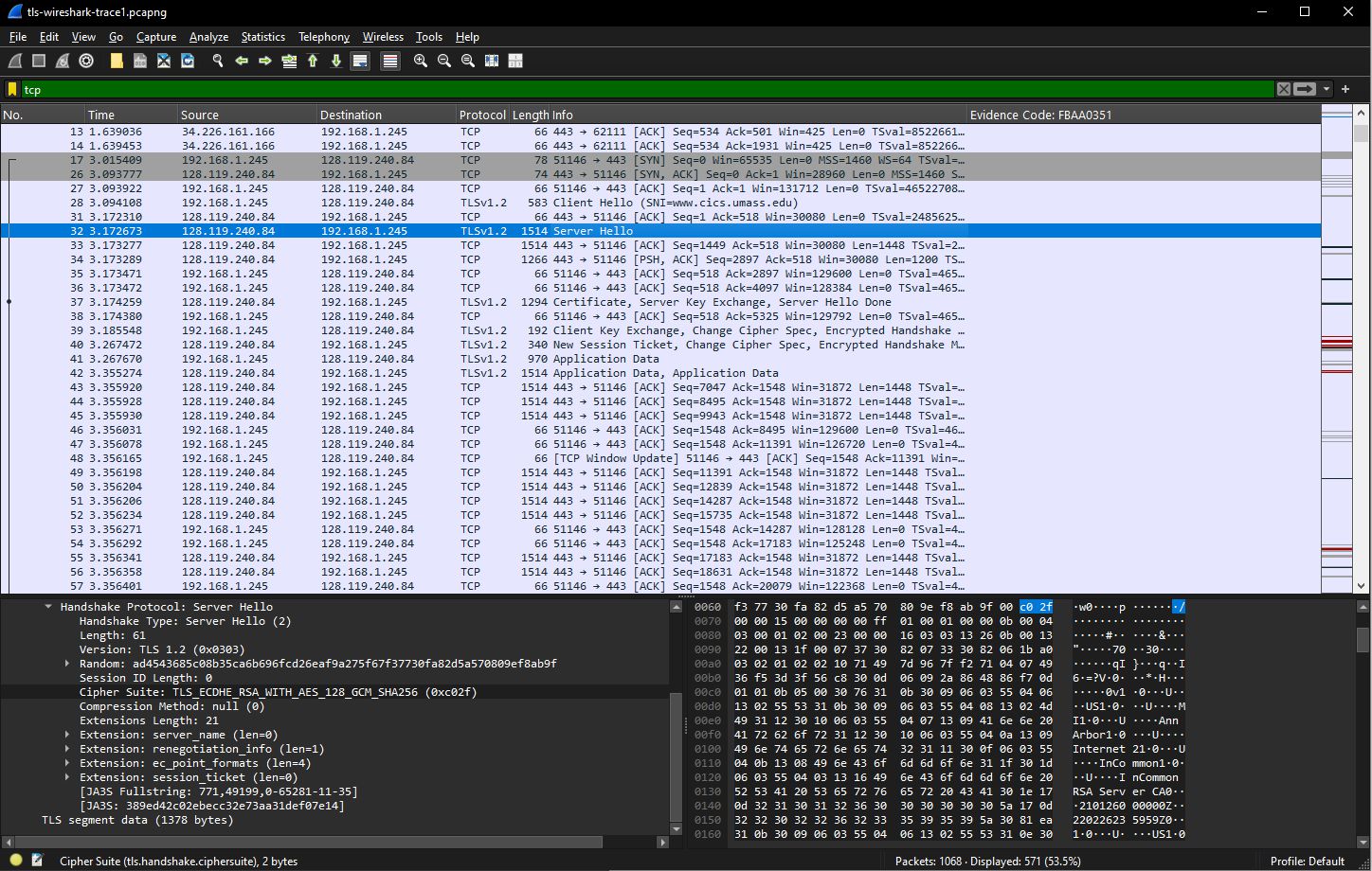 TLS Server Hello Analysis