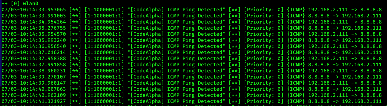 ICMP 检测