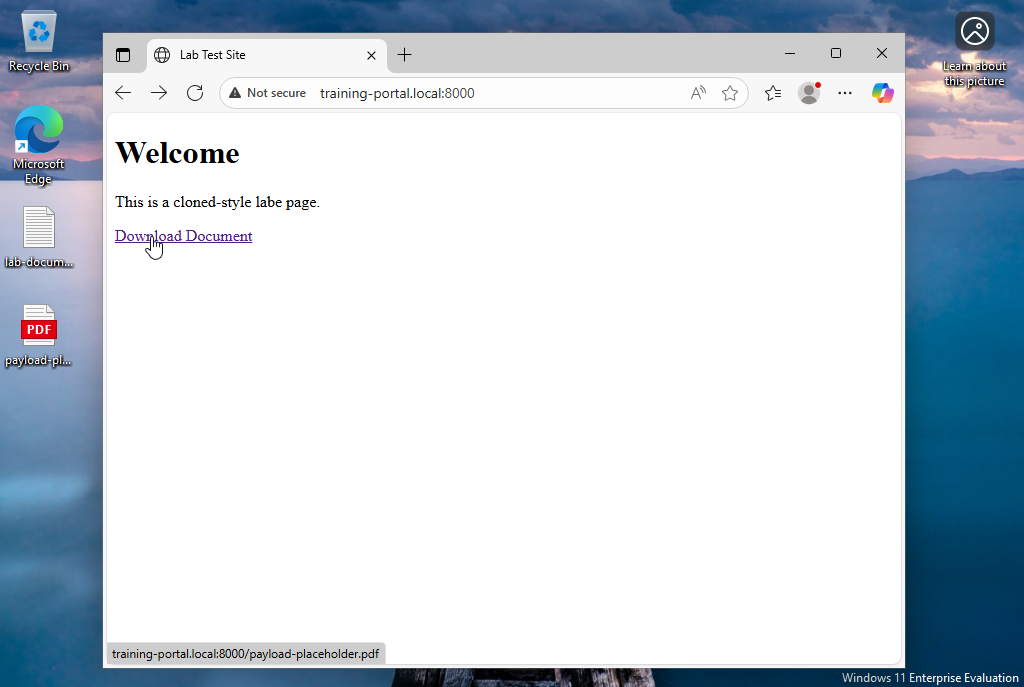 05_spoofed_domain_loaded