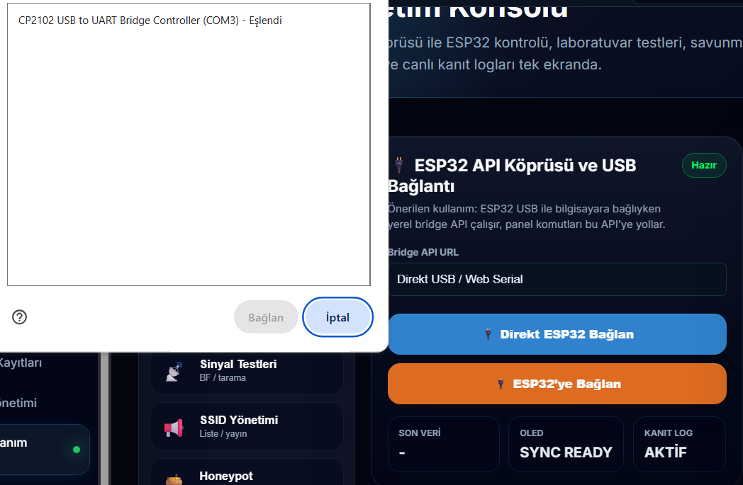 Web Serial pairing