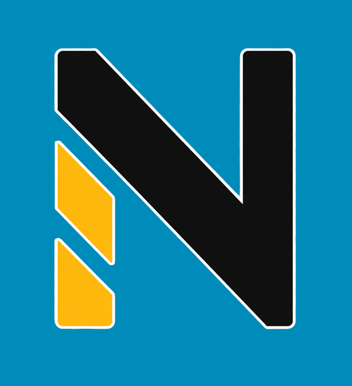 NetGeoAudit logo