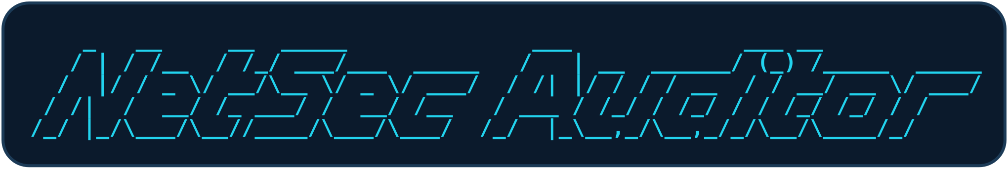 NetSec Auditor