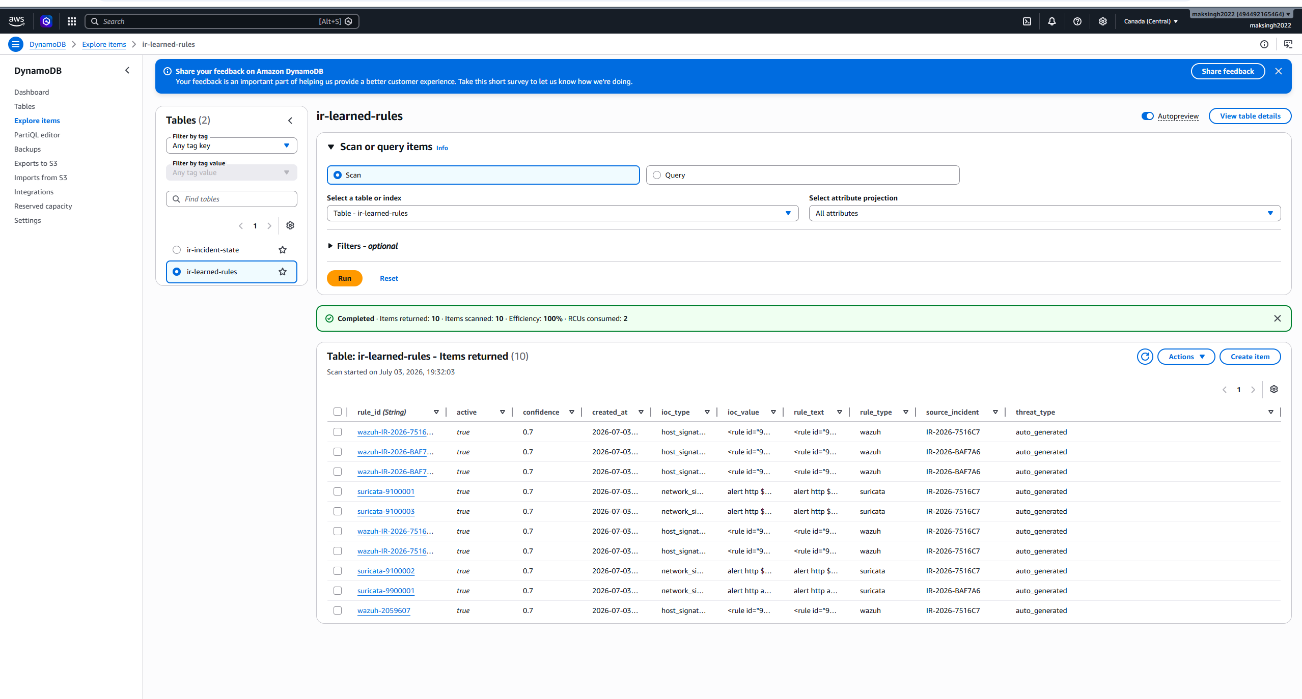 dynamodb learned rules