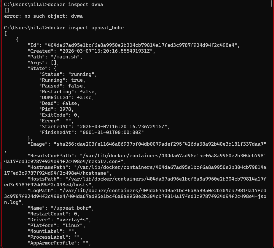 docker inspect