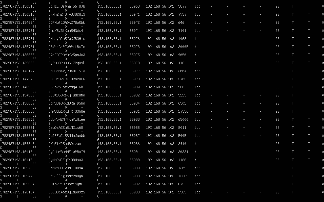 Nmap sV results