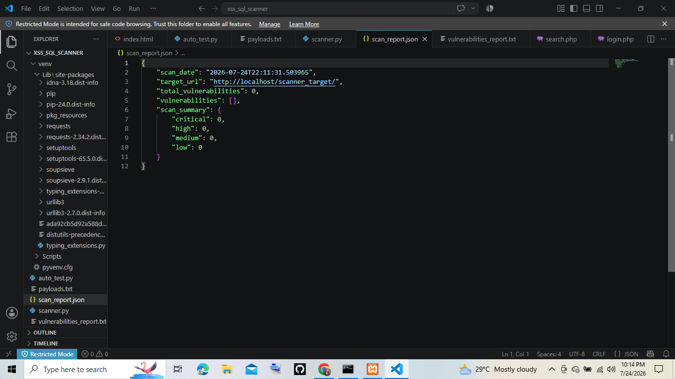 JSON 报告
