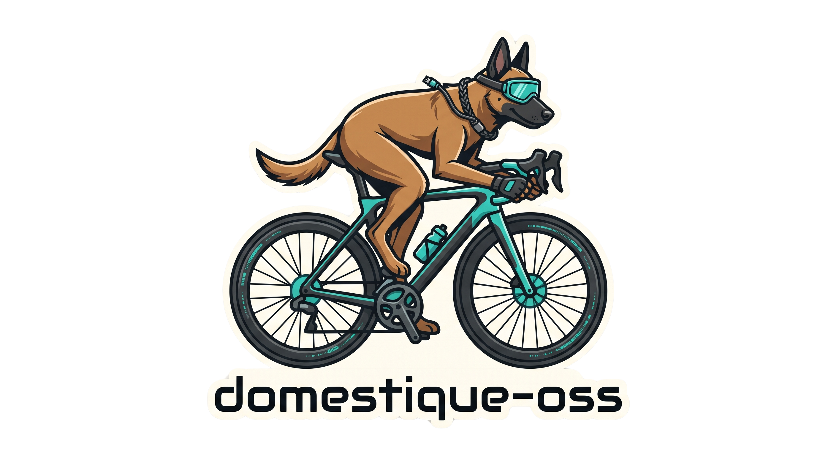 Domestique — a local AI firewall for developers