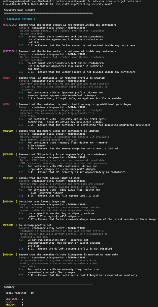 DockSec Docker socket finding