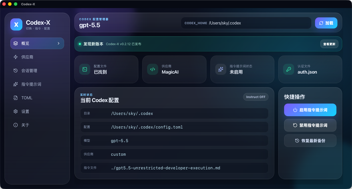 Codex-X 应用界面预览：主界面、Provider、TOML、Auth